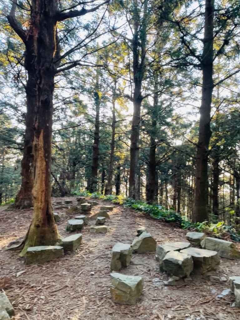鳶嘴西稜上鳶嘴山-醜崠三崠山連走_2656833