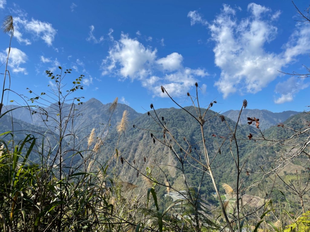 1110115望美山.瓊山_1583149