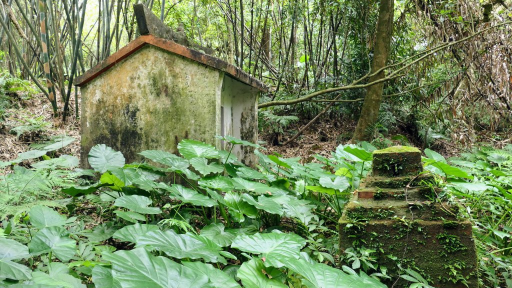 玉田古道,大湖越嶺保甲路封面圖