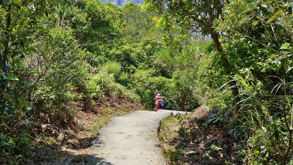 (姨婆趴趴走)第四十三集:攀登連走奇岩山、軍艦岩、丹鳳山_2499558