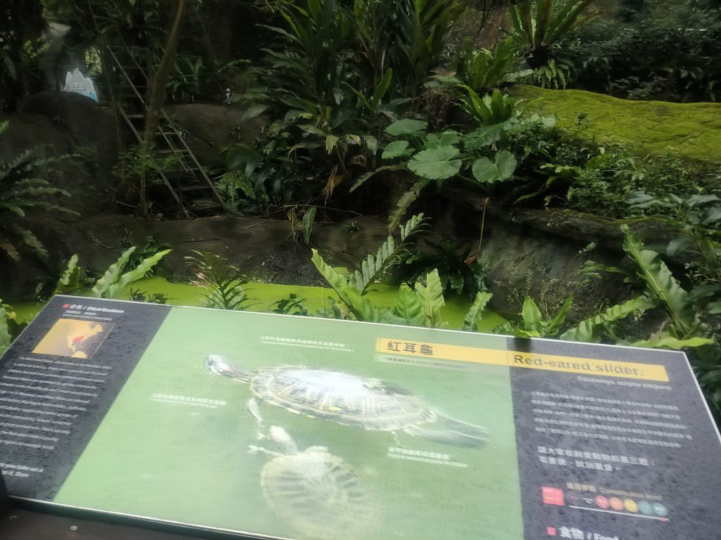台北動物園_2664021