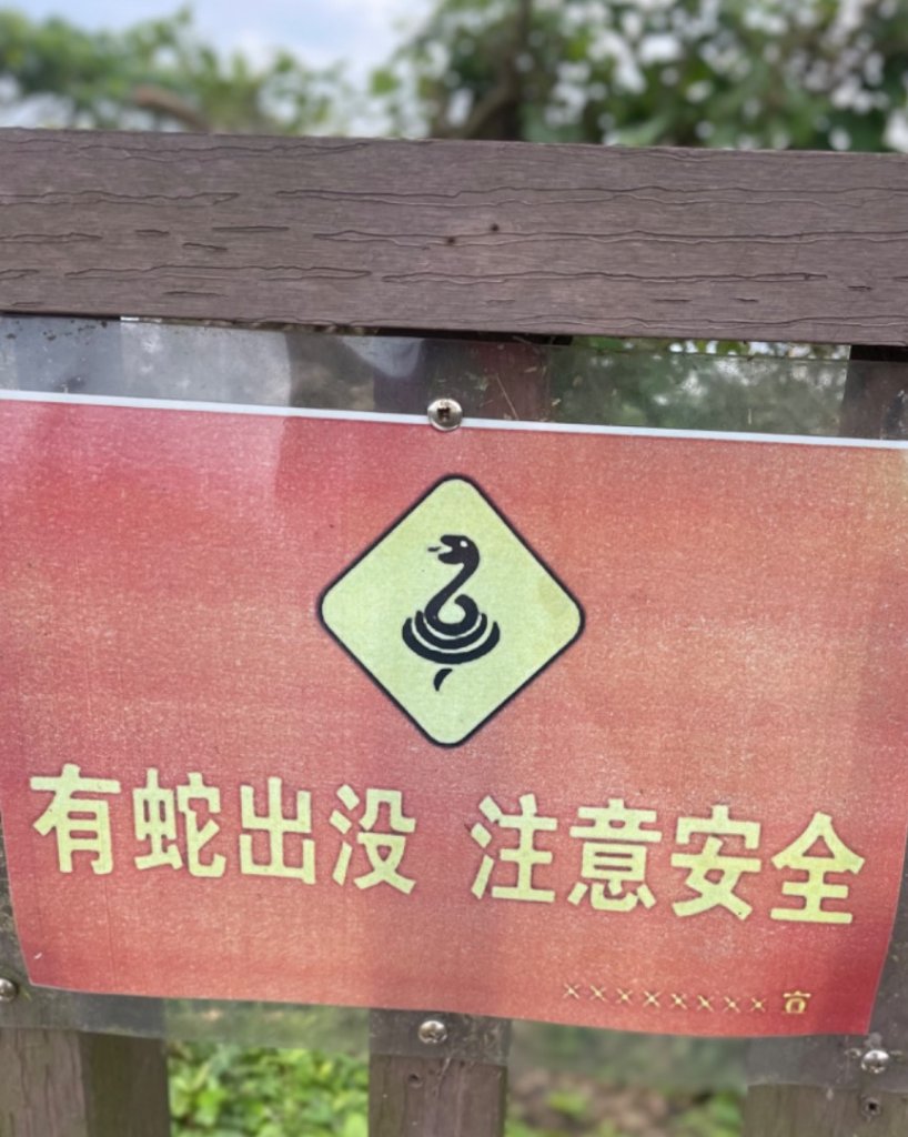 基隆尋找7隻傘人家族_2720910