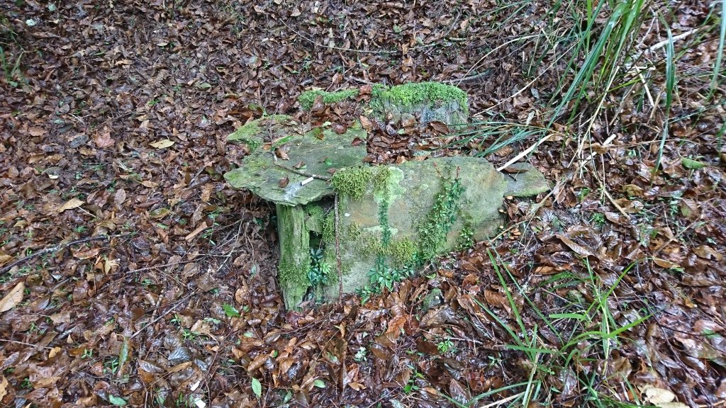 20250125 伊加之蕃-卑南東稜_2715159