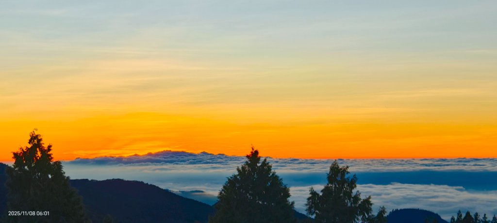 #太平山 #望洋山 #觀雲步道 #日出 #雲海 11/8_2931206