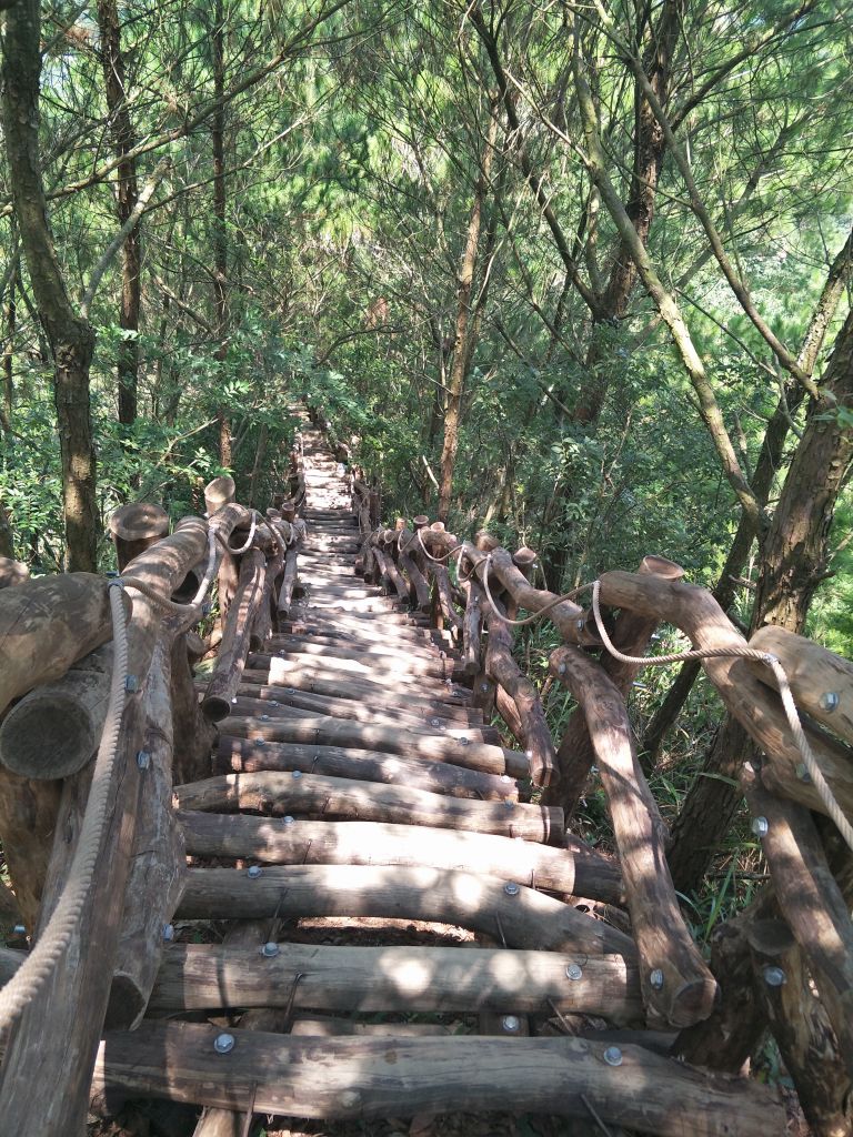 大坑4號步道&頭嵙山_374905