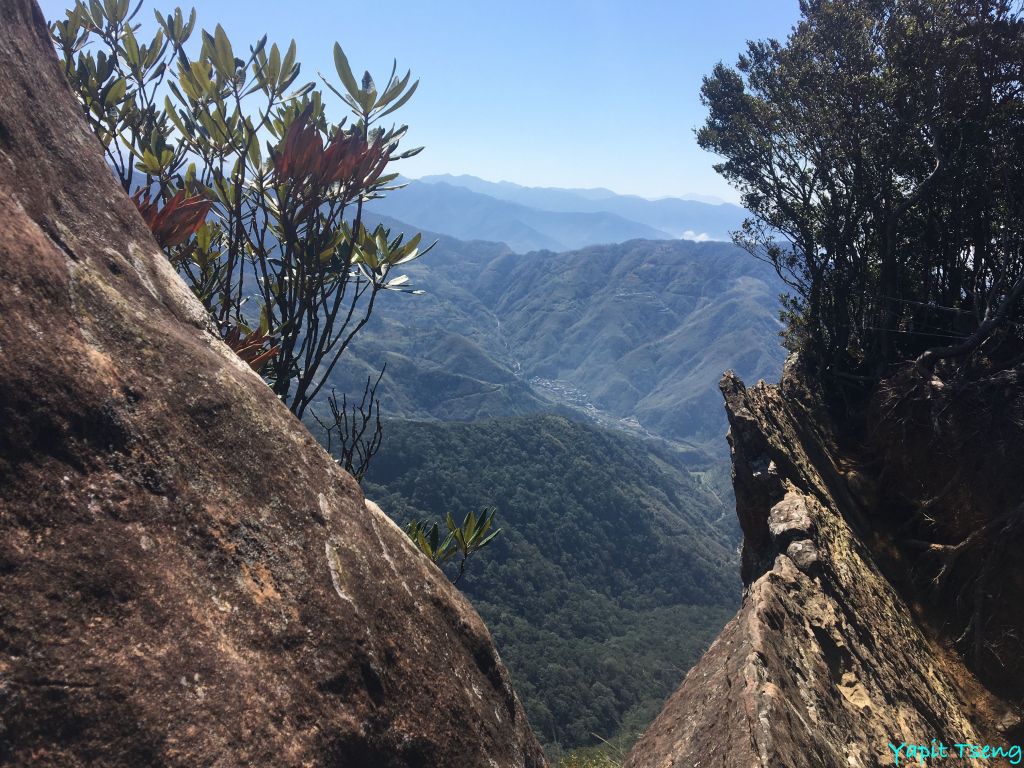 北得拉曼神木步道 內鳥嘴山_282875