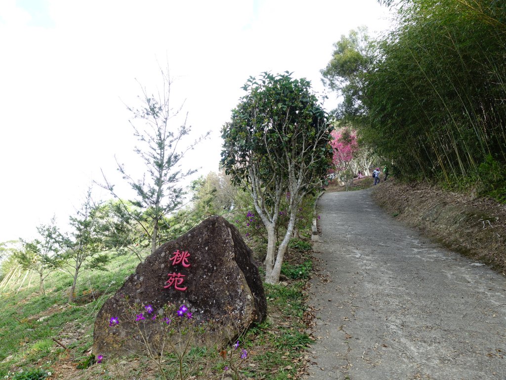 走春祈福-遇見十一分山_1286128