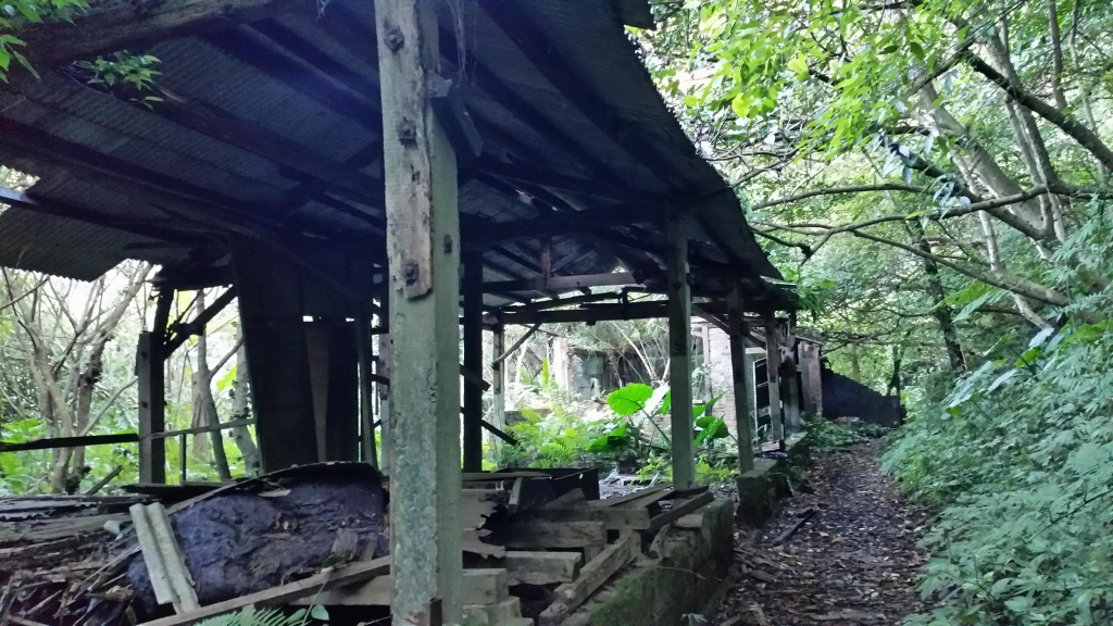 【新北／三峽】白雞三山連走_3085