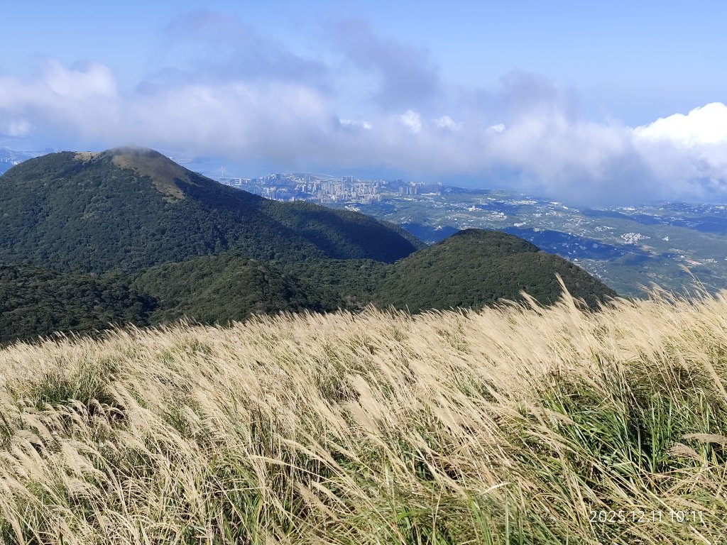 【臺北大縱走 2】【第二回合全程完成證書】鞍部→大屯山步道→大屯山主峰→大屯坪步道→二子坪步道_2960374