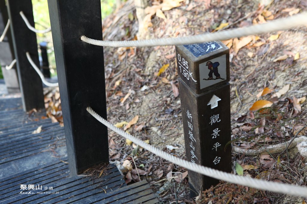 新田登山步道~聚興山_1406419