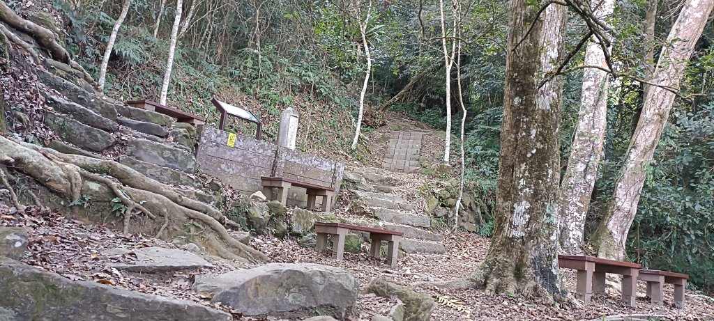 20240224_馬那邦山、細道邦山步道_2436111