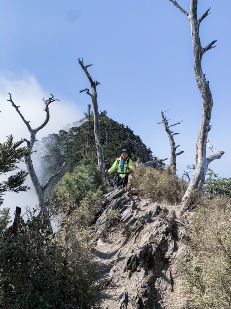 【百岳】五岳之北大武山單攻_903181