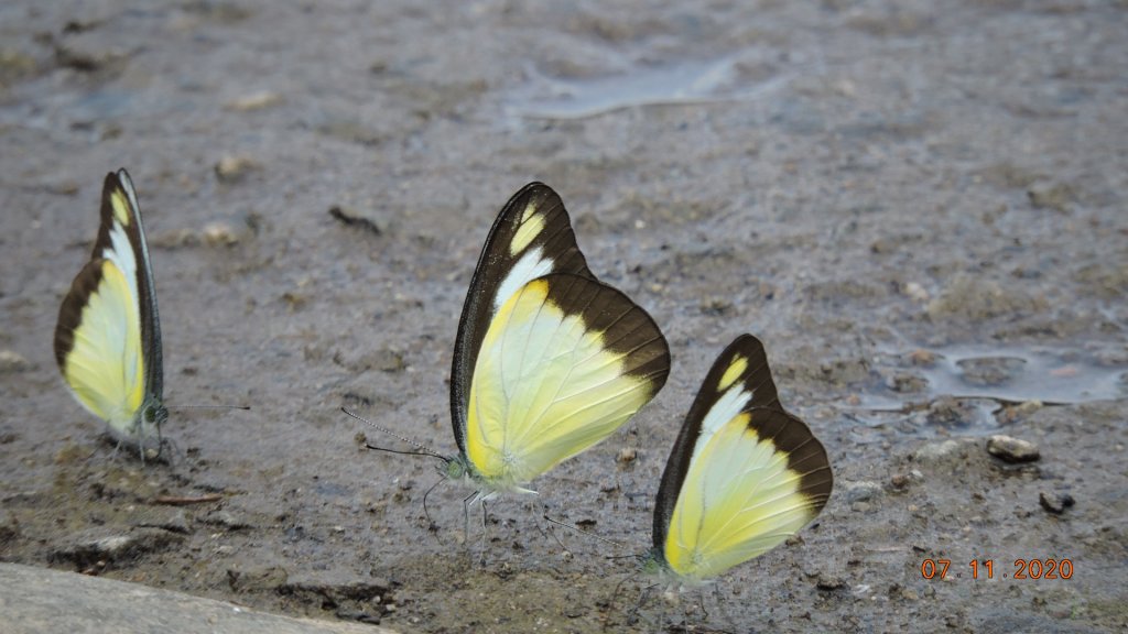 就是喜歡這個藍天白雲的FU_1029243