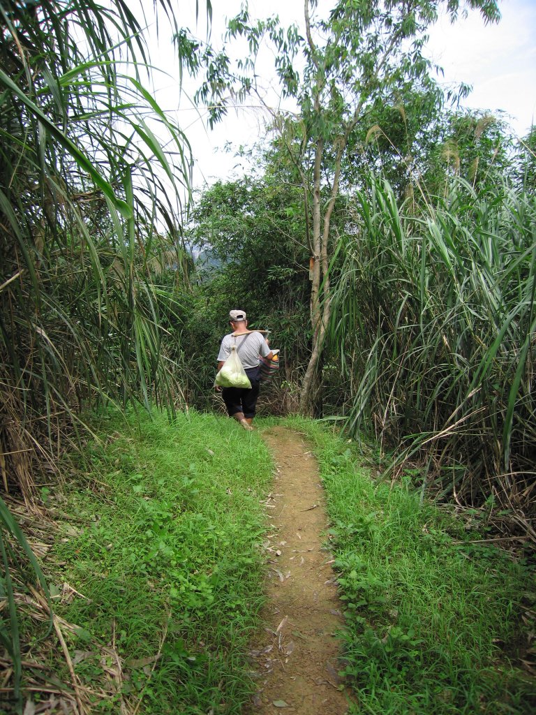木柵猴山坑古道封面圖