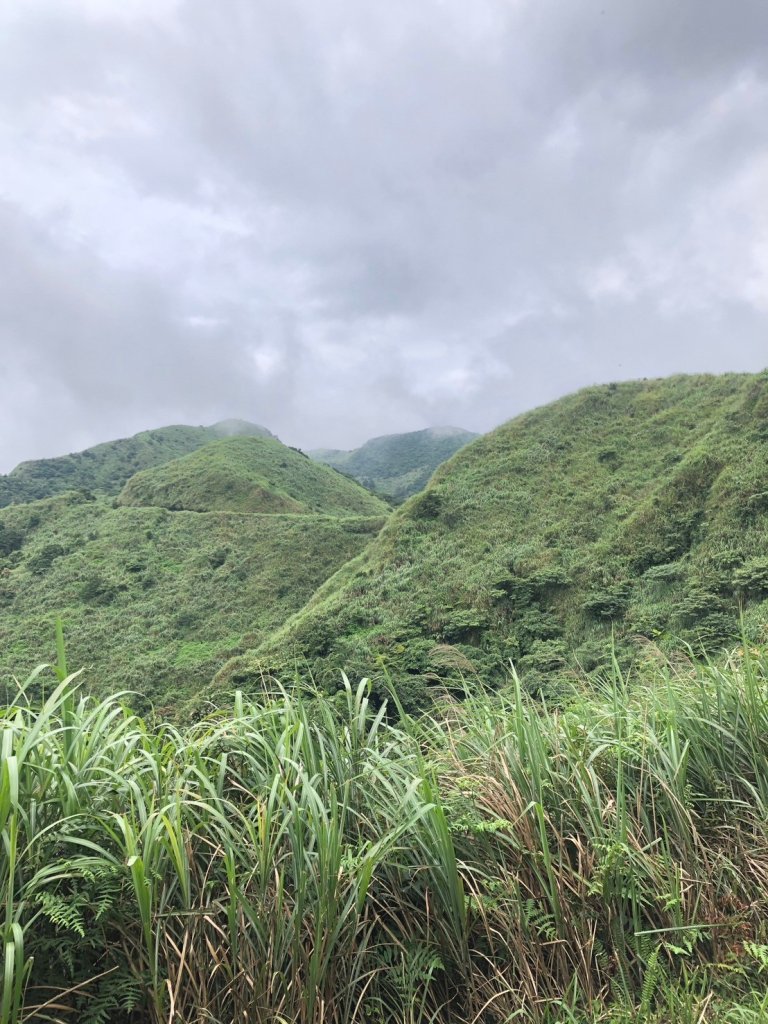 6/1燦光寮古徑 探險級路線~_2517639