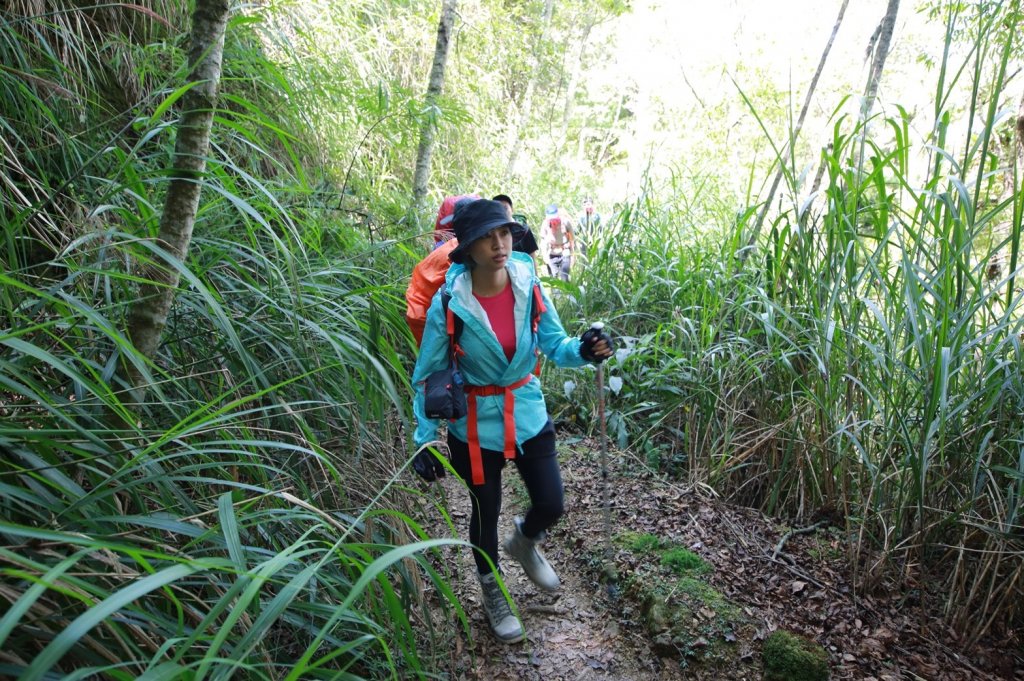 水樣森林 第一次在山裡過夜_658788