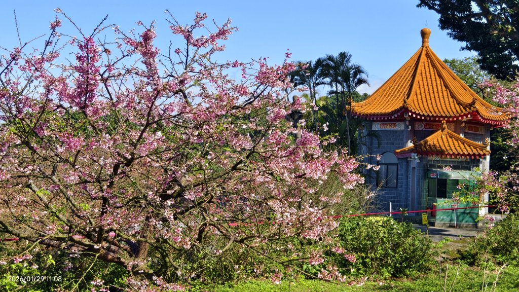 天元宮了嗎？2/3&10&14_2992595