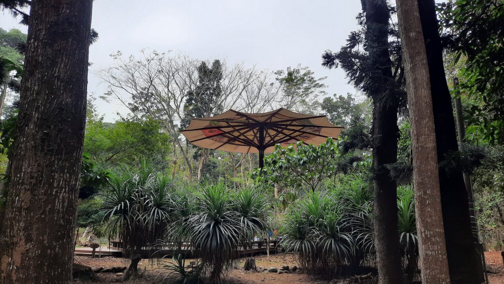 《南投》河岸賞鳥｜竹山下坪步道及自然教育園區O繞20230225_2042177