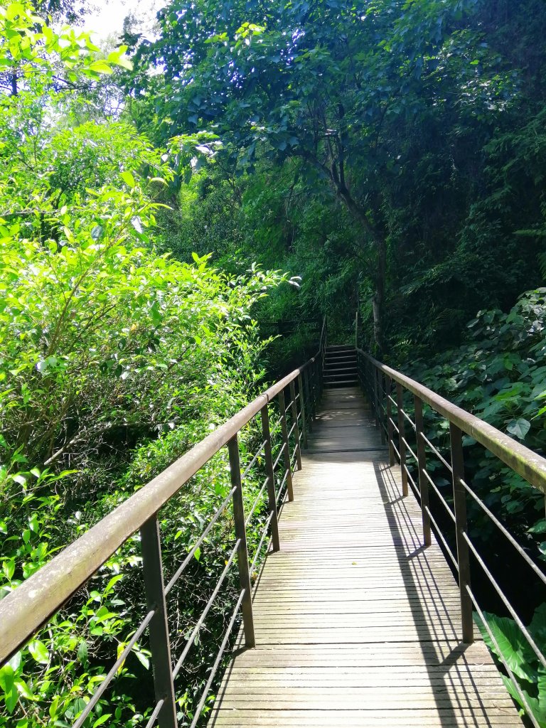 彰化社頭~清水岩步道群~18彎挑鹽古道_1002555