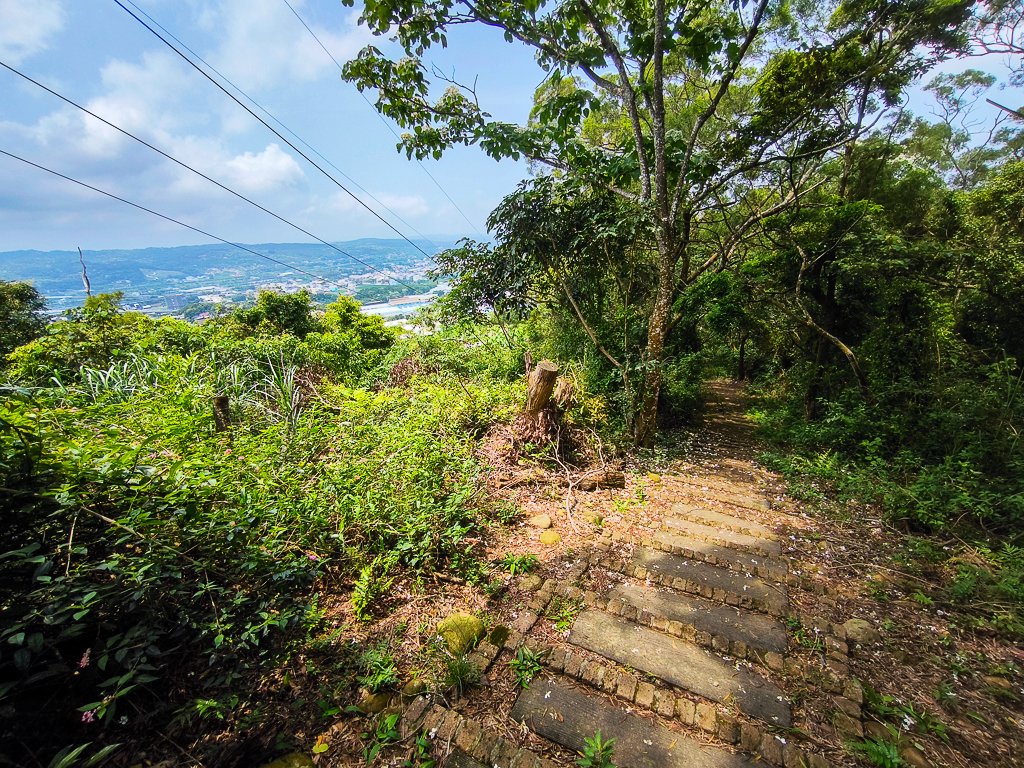 2025-04-27 三員縱走_2772111