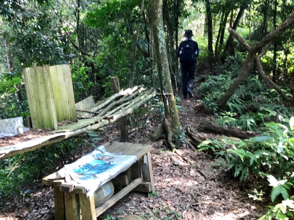 三員縱走下銅鑼_633432