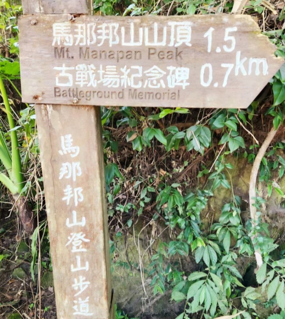 【中級山 】楓紅古戰場，馬那邦山_2741984