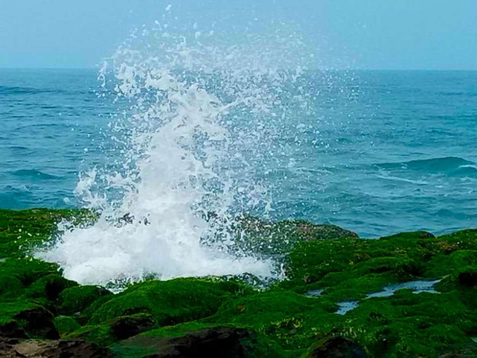 熱騰騰剛出爐的海帶湯_1637575