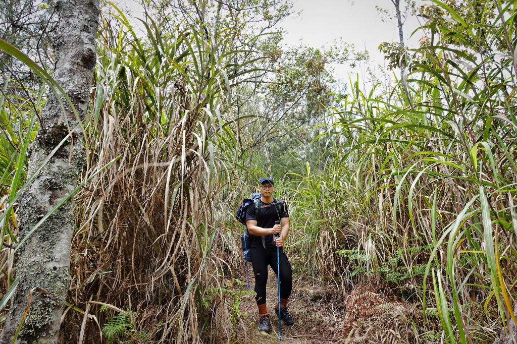 水漾森林。鹿屈山O型2018.04.04_307357