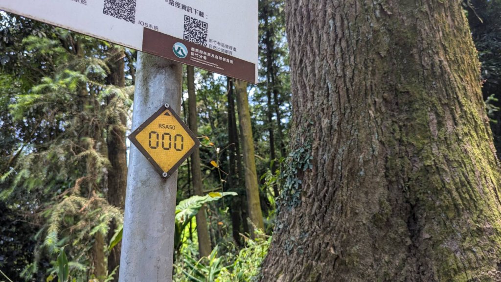 關刀山步道 (出關古道：聖關段)_2532829