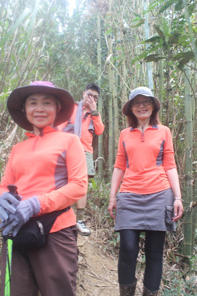 20240330台南雞九凍-雞胸山縱走_2470010