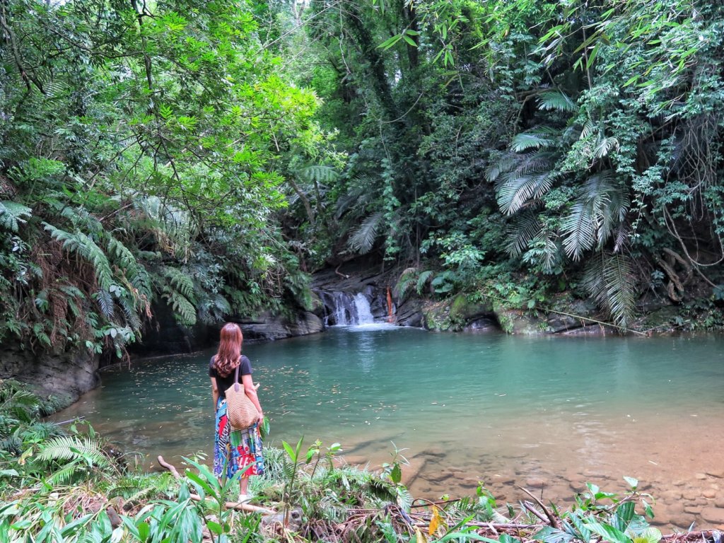 苗栗大湖 伯公潭古圳道封面圖