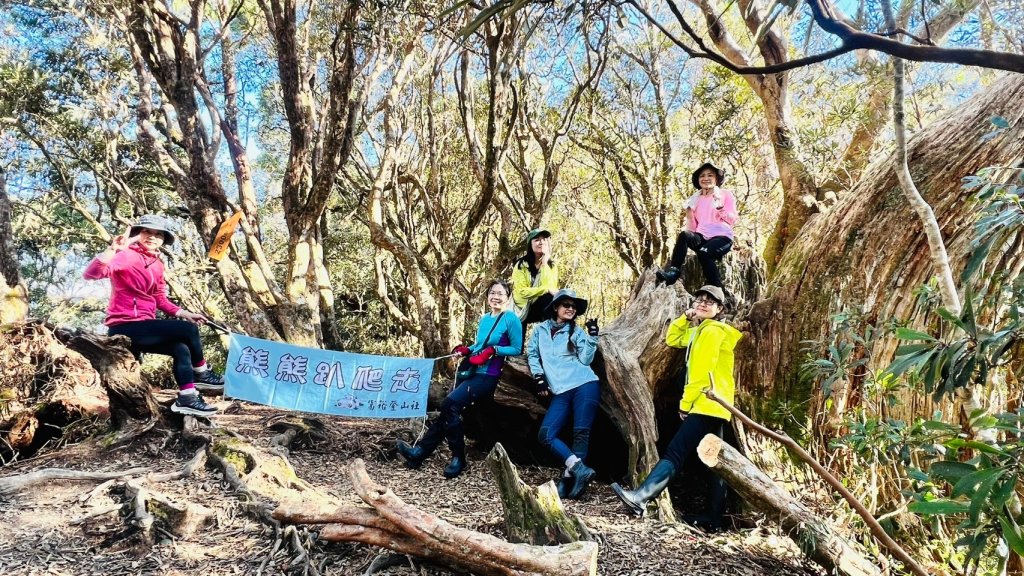 🌈12/18（三）魔法森林-塔曼山~網美打卡-巴陵鐵塔🌈封面圖