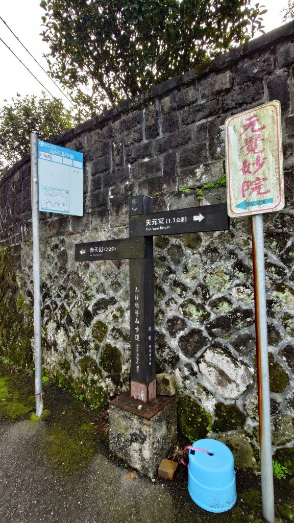 20260125 陽明山前後山健行(無極天元宮~山仔頂步道.向天池.向天山.面天山.二子坪)_2997937