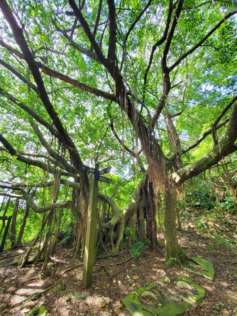 【高雄 | 小百岳壽山】_1085248