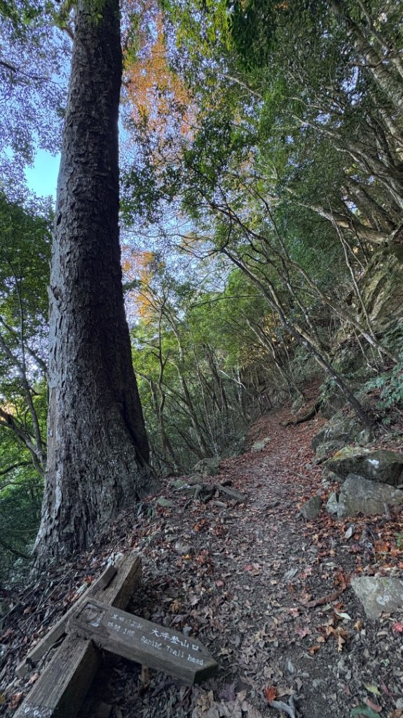 冬ㄖ奇遇_2972362