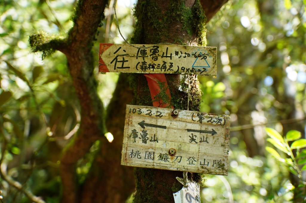桃園 復興 復興尖山_2867109