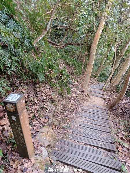 【台中和平】 雙崎部落款款行。 埋伏坪登山步道 (埋伏坪山)_2082093