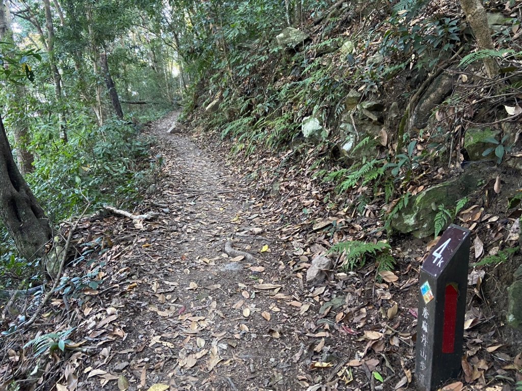 唐麻丹山-松鶴上三角點O型回松鶴_2378359