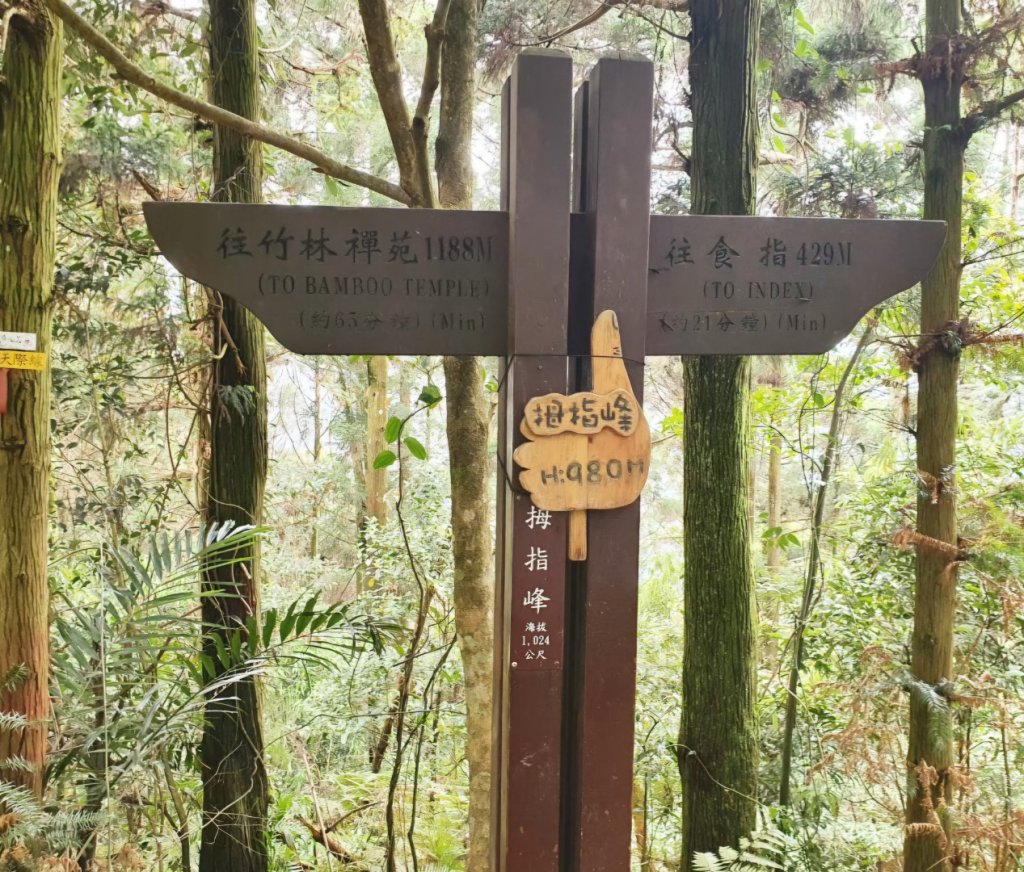 【中級山】五指凌霄，夕照山嵐，新竹五指山_2746489