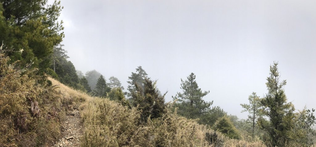 雪山東峰探險趣封面圖
