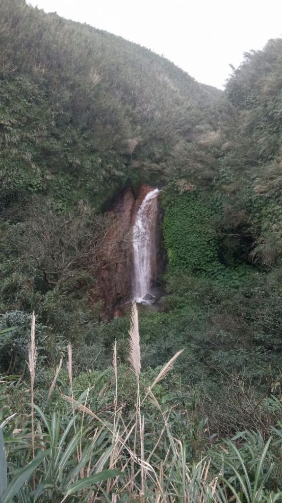 七星山（小百岳）O型連走_305179