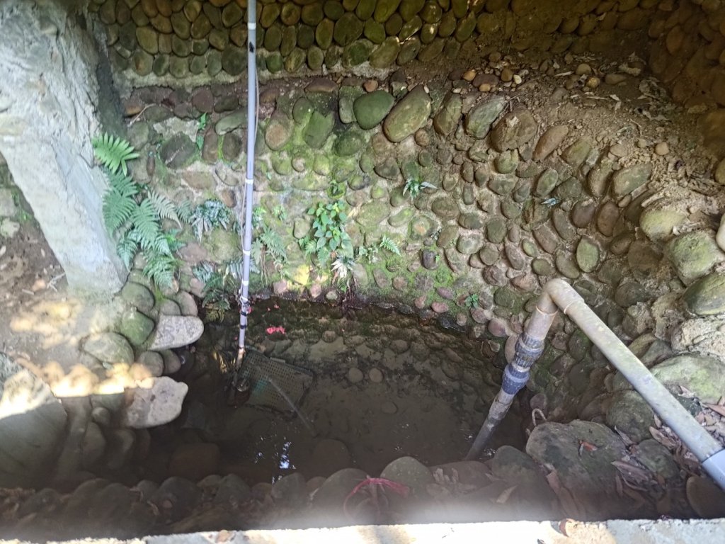 藤山步道登樟普寮一等三角點+挑水古道_2749502