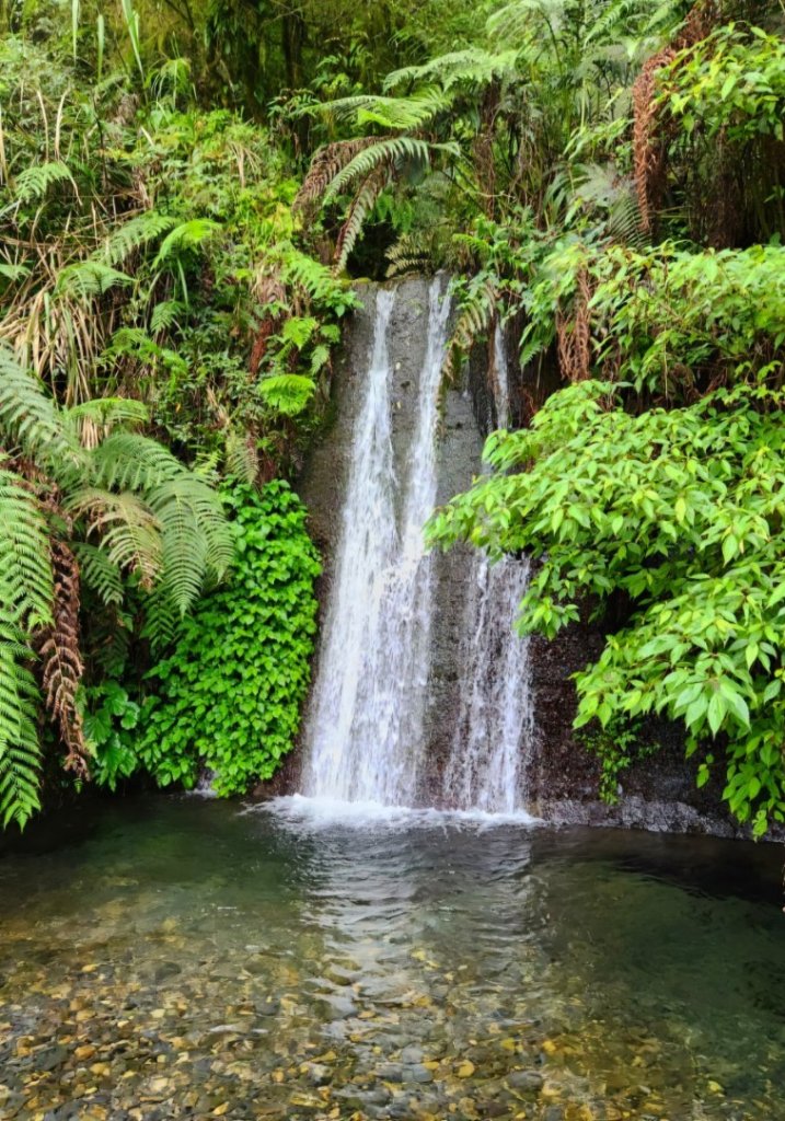【中級山】來過一次，你不會忘記它的名字，新竹油羅山_2743722
