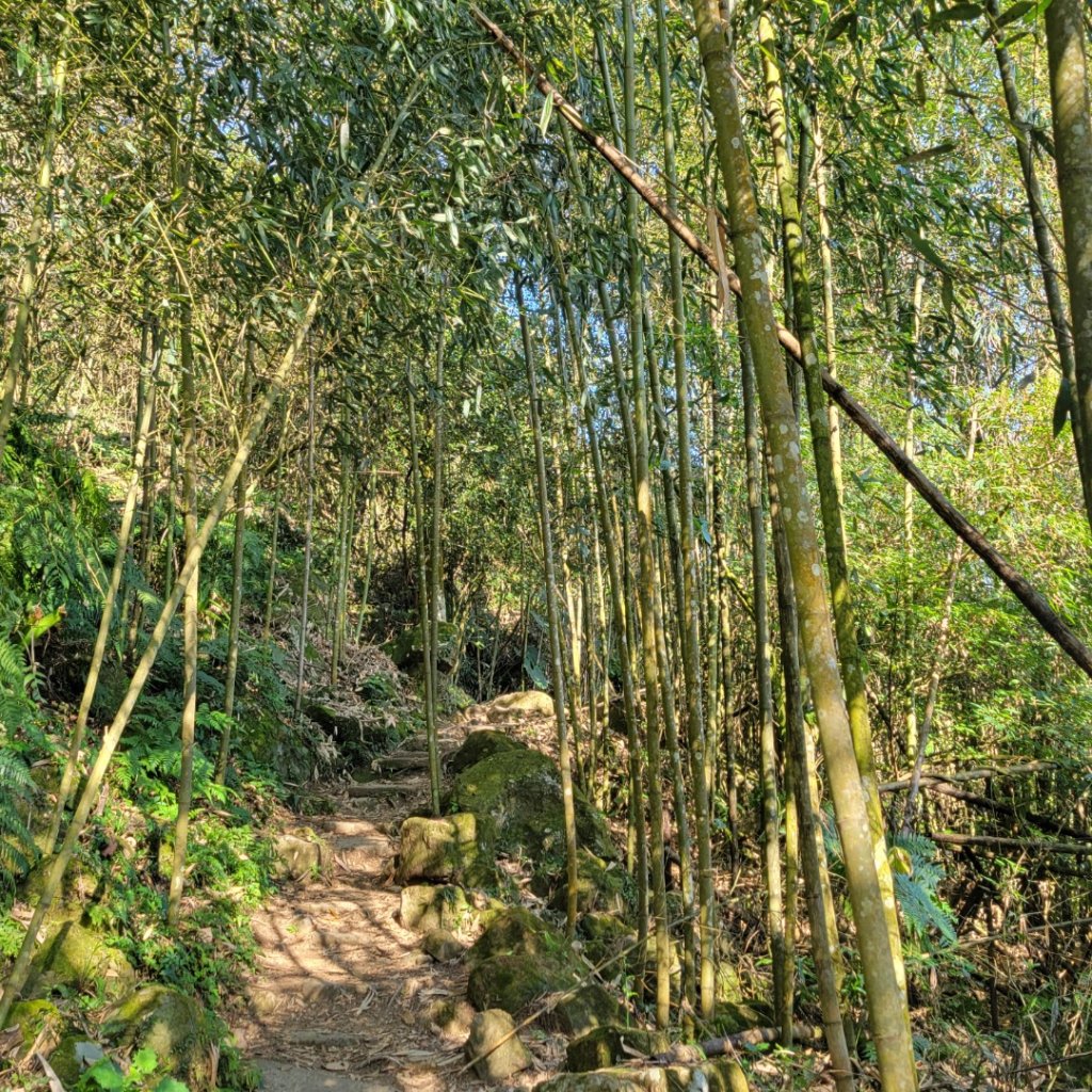馬那邦山、細道邦山（小百岳）_2435544