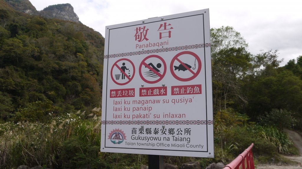 虎山登山健行趣(中級山)_1516842