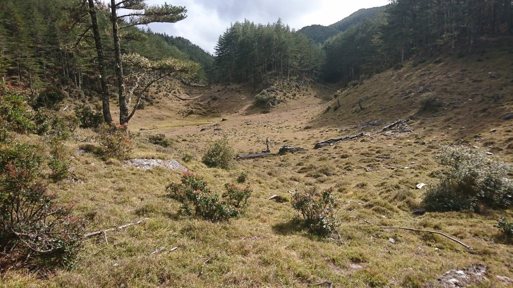 20250125 伊加之蕃-卑南東稜_2715177