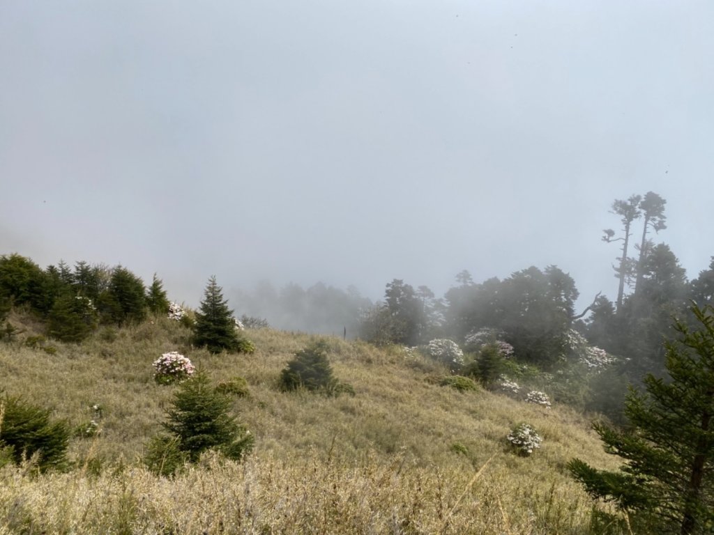 一日志雪_1406532