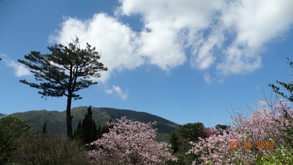 仙境?!雲霧繚繞! 2020/4th雲瀑_853521
