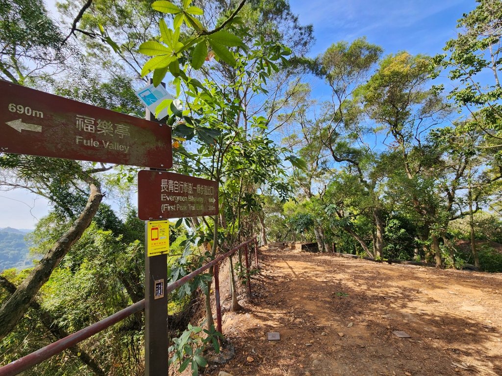【彰化清水巖】十八彎古道連走擎天崗(中央嶺步道)_2038055