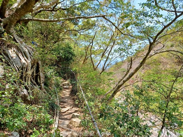 【屏東獅子鄉】海天一色。 台灣百大必訪步道~里龍山自然步道_2550795